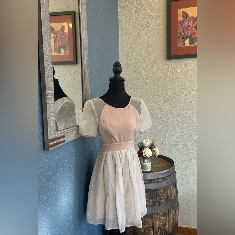 BCBGeneration Soft Blush Dress